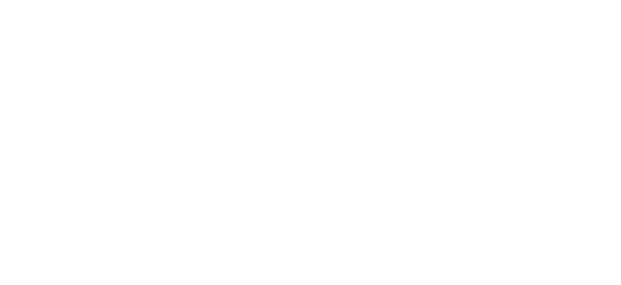 رویل پے logo